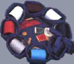 Blue Pincushion