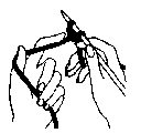 Diagram 5