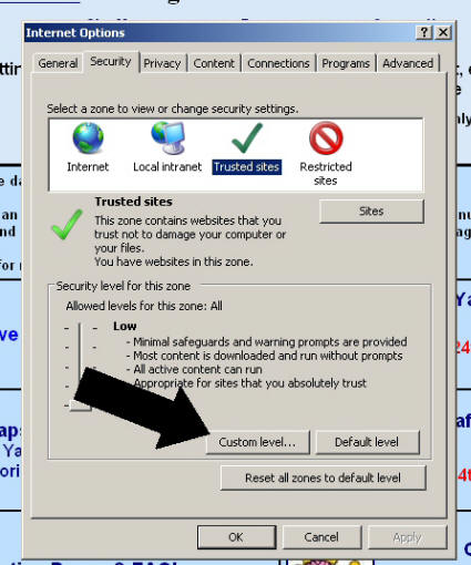 5. Click Custom Level